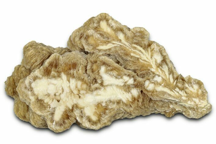 Polished Barite Slab - Lubin Mine, Poland #348883